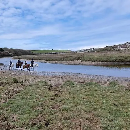 Hidden Gem Near The With Pool Table Hébergement de vacances New Quay